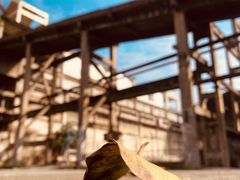 -广州市紫泥堂文化创意园景区