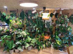 -Rabbit Cafe私房西餐甜点咖啡(栖霞路店)