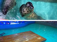 -锦艺城海洋馆