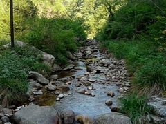 -秦岭风景区