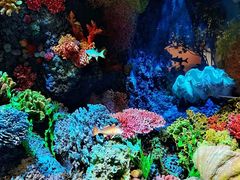 -中国湿地博物馆