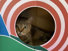 -宠颐生宠物医院·犬猫全科·皮肤科(商业街店)
