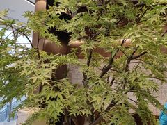 -君之狮子山·轻糖烘焙(松江印象城店)