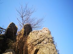 -紫金山山顶公园