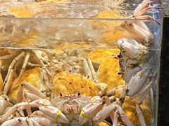 -东海怡品海鲜豆捞(星街坊店)