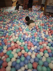 -卡通尼·Safari非洲探索乐园·生日会(金桥国际商业广场店)