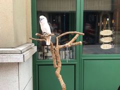 -牡丹弄·咖啡馆·酒馆(红坊里店)