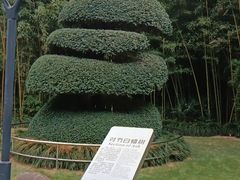 -苏州河梦清园环保主题公园