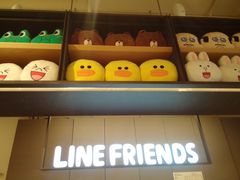 -LINE FRIENDS Garosu-gil Flagship Store