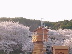 -苏州上方山国家森林公园