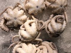 -铭聚章鱼土笋冻(松柏店)