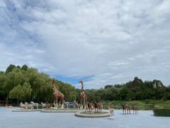 -北京野生动物园