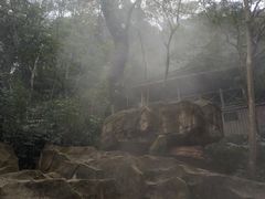 -宁海森林温泉