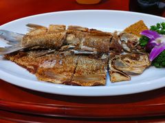 查干湖野生鱼-海拉尔蒙古包(房山长阳总店)