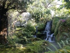 -Chom Cafe and Restaurant