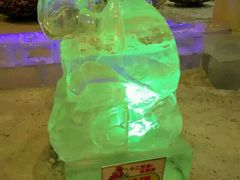 android_upload_pic-冠翔冰雪大世界