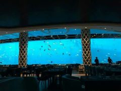 -瑞德姆美人鱼海底演艺主题餐厅(亚龙湾店)
