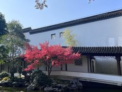 -秋霞圃