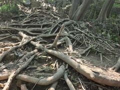-紫金山天文台