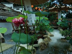 -伴山茶苑·一盏冰茶·半日山居