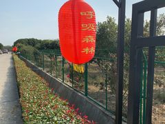 -呼吸森林·生态农庄农家乐私房菜