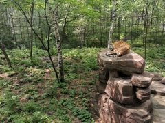 -哈尔滨北方森林动物园