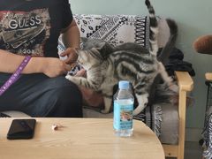 -平行世界·猫咖(首经贸店)
