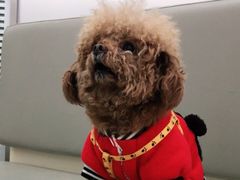 -爱侣宠医·鹦鹉专科·小型哺乳类·异宠专科(灵石路店)