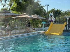 -爪吧宠物乐园 (温榆河示范区店)