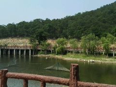 -徂徕山森林康养度假谷温泉