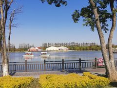 -上海长兴岛郊野公园