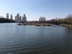 -前关湿地公园