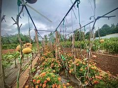 -昆明春城湖畔度假村