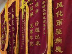 -千城康桥宠物医院CT影像·骨科·心脏专科中心(厚街分院)