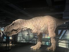-浙江自然博物院(杭州馆)