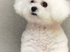 -北京观赏动物医院·24小时大型综合·猫专科·异宠专科