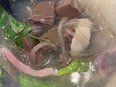 -小杨生煎(龙阳广场店)
