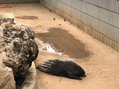 -石家庄市动物园