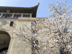 -武汉大学-樱园