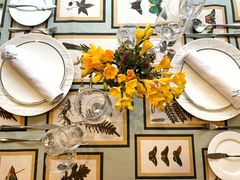 -蝶舍·MAISON PAPILLON