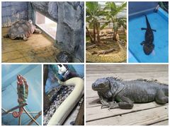 -石家庄市动物园