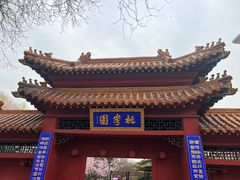 -桃花堤公园