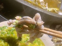 -石锅苗苗鱼(武汉首店)
