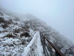 -金子山原生态旅游风景区