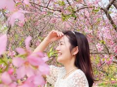 -天适樱花悠乐园