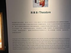 -成都泰迪熊博物馆