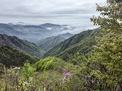 -东天目山风景区