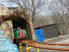 -朝阳公园游乐园