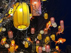 -龙湖星悦荟(颐和店)