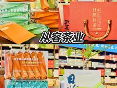 -日照海滨国家森林公园